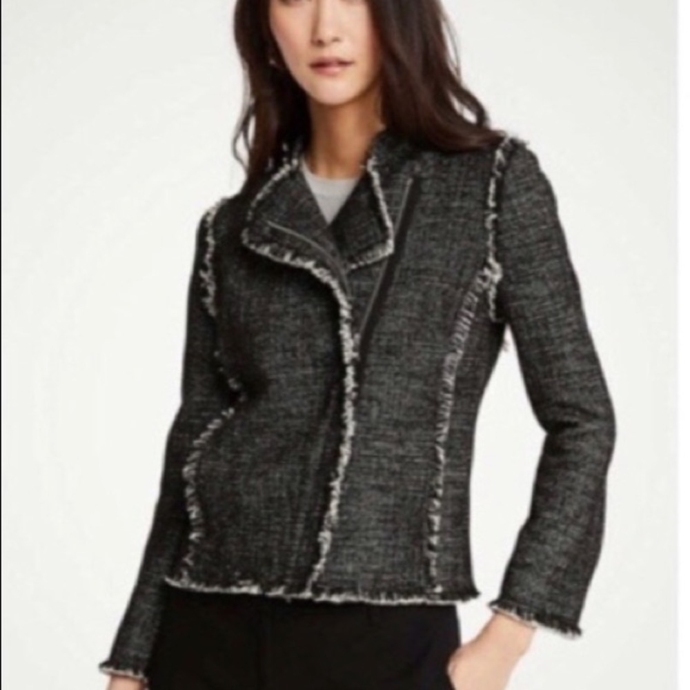 Ann Taylor Tweed Moto Jacket Size Petite Medium